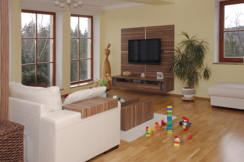 Living Room on Ob Vac Pokoj Je E En Imitac Exotick D Eviny Makassar Cejlon
